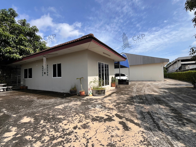 Թ ⡴ѧѺԵԹ ͧ¡ ١ͧҵðҹ 