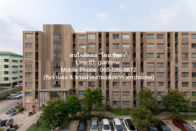 ��¤͹ⴾ�������� ����� �͹� ���Ѥ�Ք (��� Oasis ����ٹԵ������