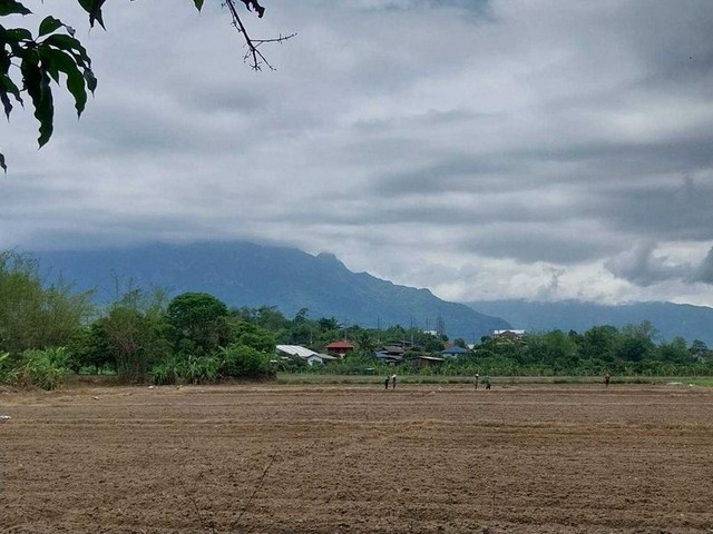 ���Թ��� ����ҡ�ȴ� ���������� ⫹��§���   