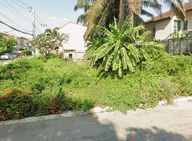 ทำเลทองนนทบุรี! ที่ดินสวย 61.6 ตร.วา พร้อมสร้างบ้าน ทำเลทองนนทบุรี! ที่ดินสวย 61.6 ตร.วา พร้อมสร้างบ้าน