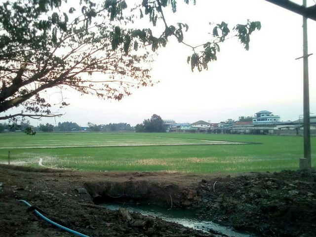 ��·��Թ 30-3-59.6 ��� �.���⤡ �.������� �.�����ҹ� 