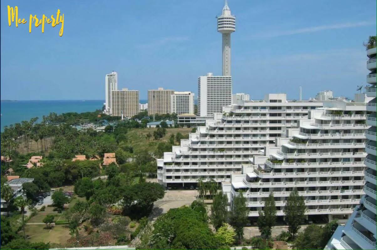 ���/�����¹ �͹��� �繤͹�����������Ҵ�����¹  ��Ҵ 36 ��