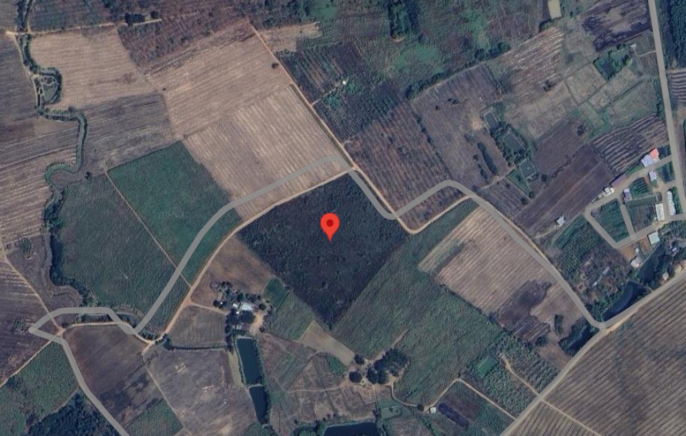 ���Թ������� �.���  ���Ŵ� �Ҥҹ��ŧ�ع