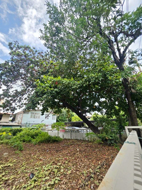 ���Թ������ ��.�������ѭ BTS ૹ�������� 90 �.��Ҹ���� 60��.��. 