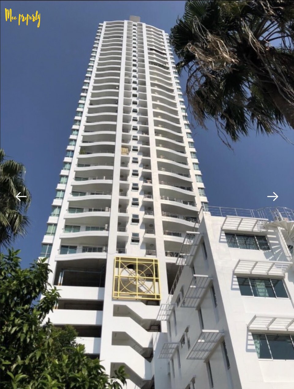 ���/��� �͹�������� ���������� ����������Ҿ���� �����ԭ��� 