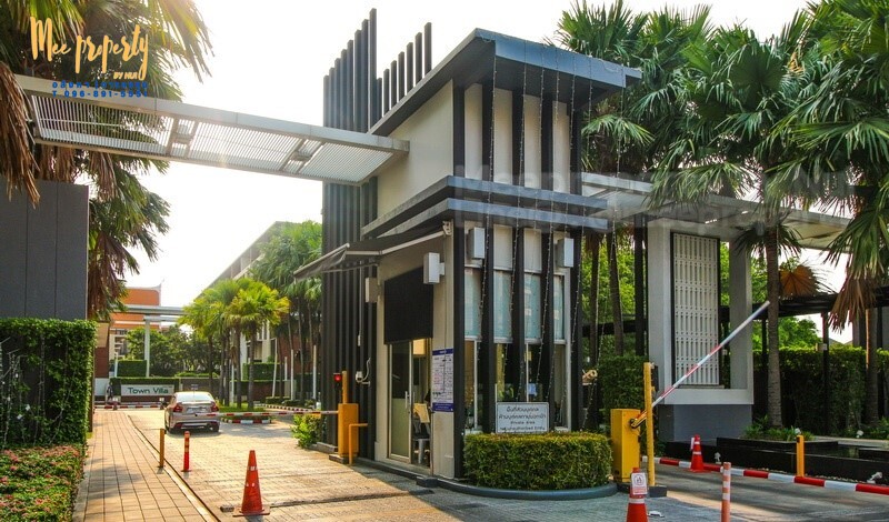 ��¤͹�����Թ� ���� �������䫴�-������ 3  