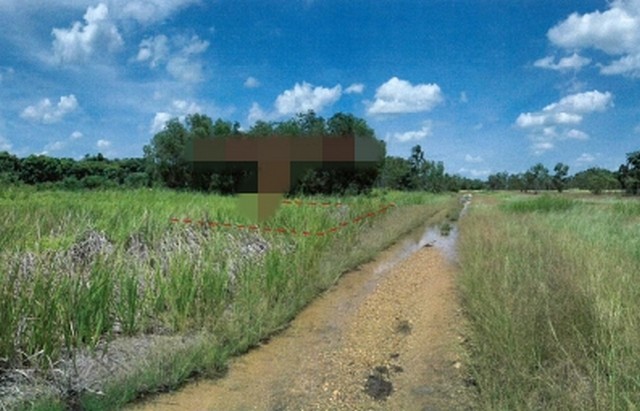 ��·��Թ��ҧ��������ͧ  �����˹ͧ����  �����ҹ�