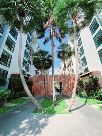 ����ͤ͹��آ���Է105���6��ͧ�Դ������ͧ����Դ�.�ҧ�ҵ�Ҵ