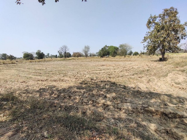 ��·��Թ 12 ��� 2 ��ҹ ..��ǹ 