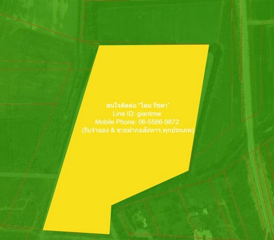 ��º�ҹ��������Թ�ǹ�о���� ����ǧ �֧��� �.��ɳ��š