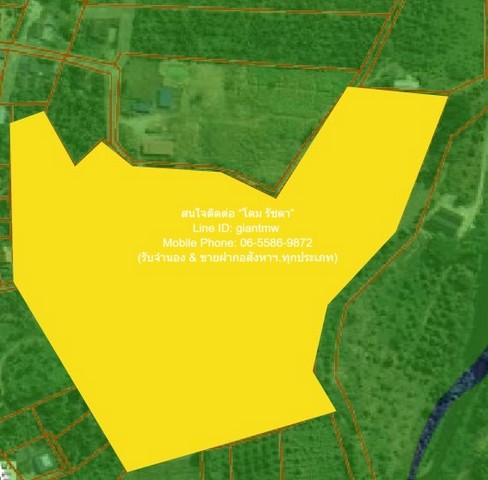 ��·��Թ���� ˹ͧ˭�һ��ͧ �.ྪú��� (���ҧ��ǧ 3510 ��� 101