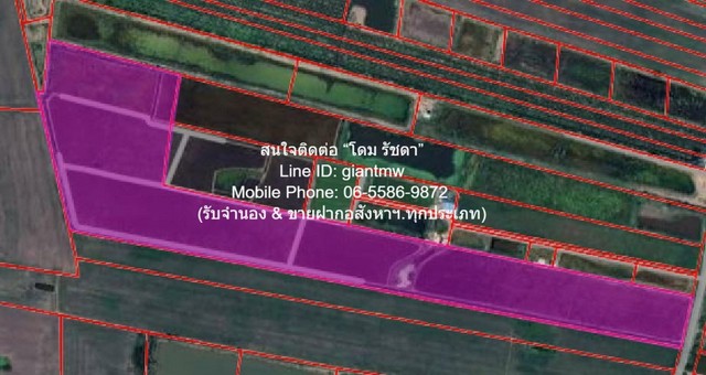 ��·��Թ��觹� 103-0-44 ��� ��ը��� �.���ͧ��ù�¡ ��ù�¡