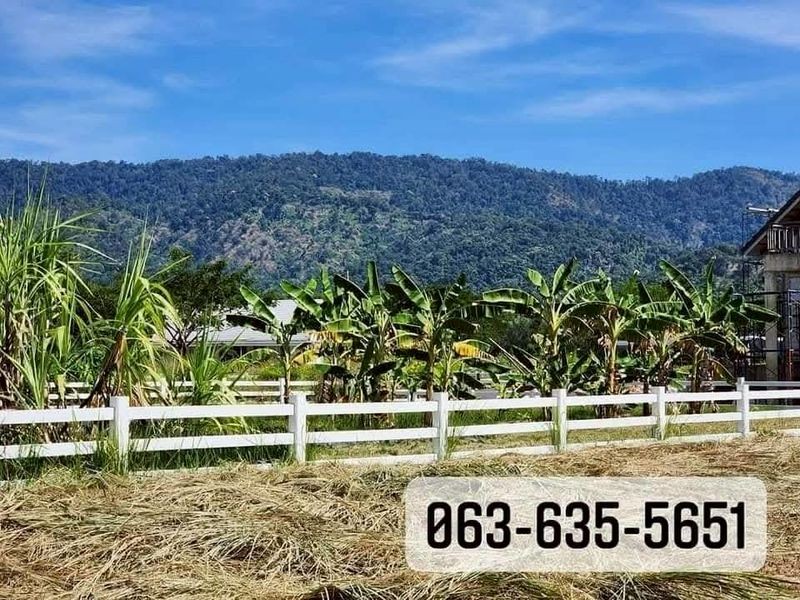 ��·��Թ��ç��� vip �������ѧ��� ���͹��ҹ��� ��ҹ�Ҿ�� ��