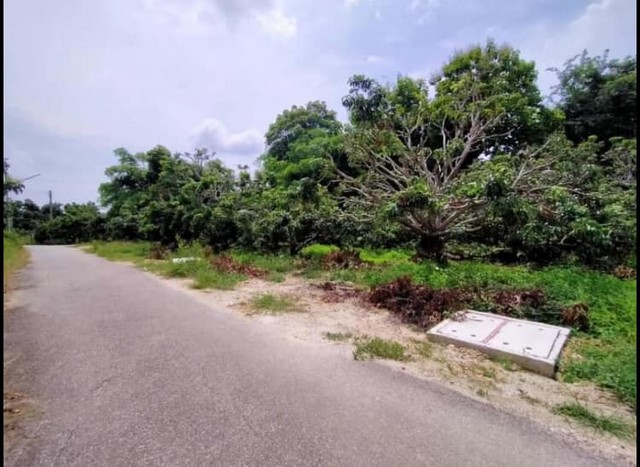 ��·��Թ3�ҹ 1.96�. �ǹ���� ᴹ���ͧ �.������� ���ͧ �Ӿٹ