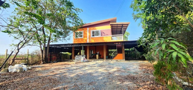 ��º�ҹ �.�ǹ�͡ �.�Ҵ�������-�ҧ�Ź �.��û��