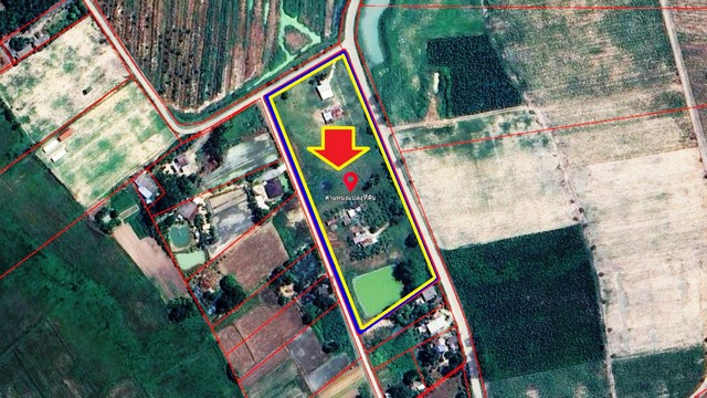 ��¢�¢�´�ǹ�ҡ ���Թ 11-0-51.5 ��� �.331 �.��Һح�� �.�ź���