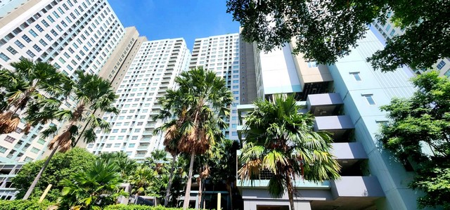 ��¢�¢�´�ǹ�ҡ �͹�����Թվ��� �ѵ�Ҹ�����-���ǧ���ҹ  ���ͧ