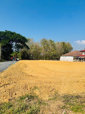 ที่ดินเปล่า แยกพืชสวนโลก เดินทางสะดวก หนองควาย หางดง ที่ดินเปล่า แยกพืชสวนโลก เดินทางสะดวก หนองควาย หางดง