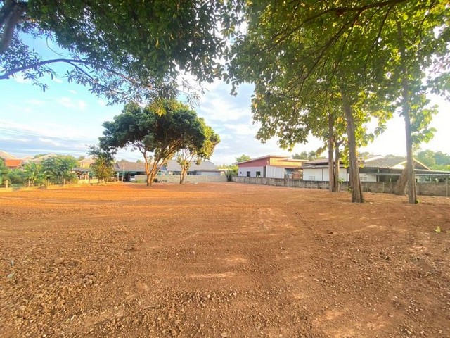 ที่ดินเปล่า ถมแล้ว ที่สวย แหล่งชุมชน ไม่เหลี่ยว หนองควาย หางดง ที่ดินเปล่า ถมแล้ว ที่สวย แหล่งชุมชน ไม่เหลี่ยว หนองควาย หางดง