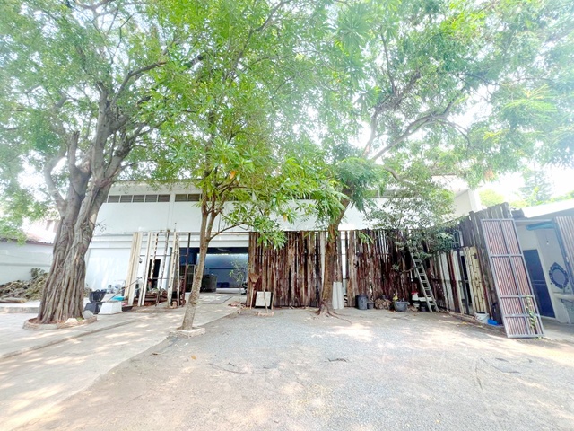 ซ.สุขุมวิท 47-51 อาคาร 2ชั้น 1ไร่ 35ตร.วา. ทองหล่อ 21-25 MRT รฟม ซ.สุขุมวิท 47-51 อาคาร 2ชั้น 1ไร่ 35ตร.วา. ทองหล่อ 21-25 MRT รฟม