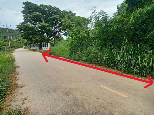 ขายที่ดินเปล่า 222ว.1ล. ใกล้ถ.ซุปเปอร์2.5กม. ต.ป่าสัก เมืองลำพูน ขายที่ดินเปล่า 222ว.1ล. ใกล้ถ.ซุปเปอร์2.5กม. ต.ป่าสัก เมืองลำพูน