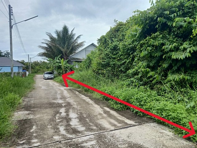 ขายที่ดินเปล่า 220ว.1.21ล. ถ.ซุปเปอร์800ม. ต.ป่าสัก เมืองลำพูน ขายที่ดินเปล่า 220ว.1.21ล. ถ.ซุปเปอร์800ม. ต.ป่าสัก เมืองลำพูน