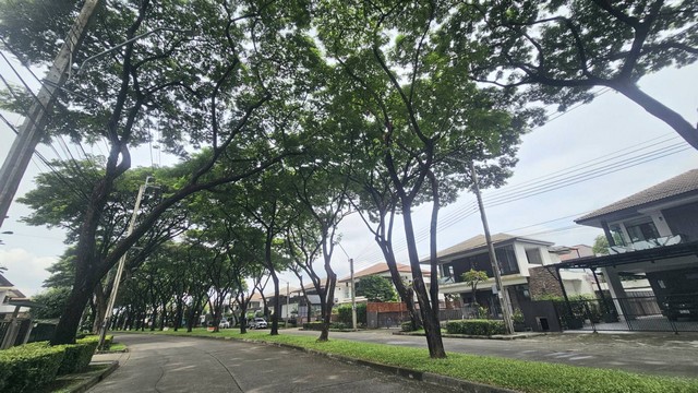 ขายด่วน บ้านเดี่ยว มัณฑนา รามอินทรา วงแหวน หลังริม ลด 2 ล้าน ขายด่วน บ้านเดี่ยว มัณฑนา รามอินทรา วงแหวน หลังริม ลด 2 ล้าน