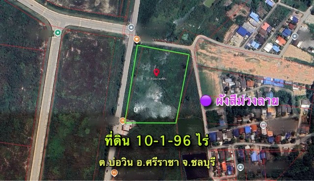 ขายและให้เช่าที่ดินศรีราชาชลบุรี 10-1-96 ไร่ ขายและให้เช่าที่ดินศรีราชาชลบุรี 10-1-96 ไร่