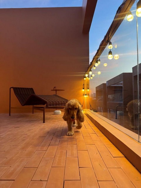 P2006 ��º�ҹ ��ҹ������ ����� Rooftop ��� BTS ������  �������Ҫ