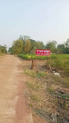 ��·��Թ�Ӻš�͹�����ʹ�ҹ�Т������ ���Թ�������