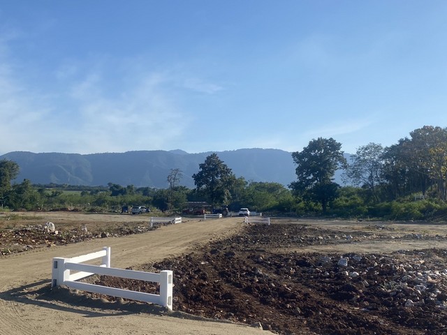 ������˭������⩹���رᴧ�����376�ҹ��� �ҡ��ͧ��Ҫo86-3ol-6l