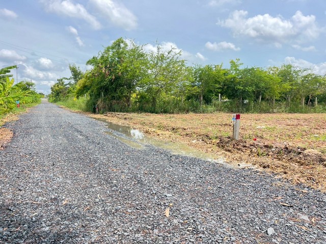 ���Թ��ͧ��ǧ ��ͧ4 ��͹��5�� ���.���º����������100�. 