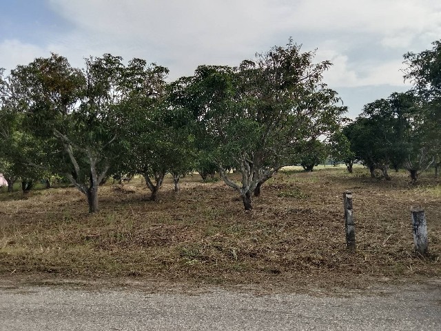 ��·��Թ���� �ҤҶ١ ���ͷ�� 2 ��� 5 ���ҧ��