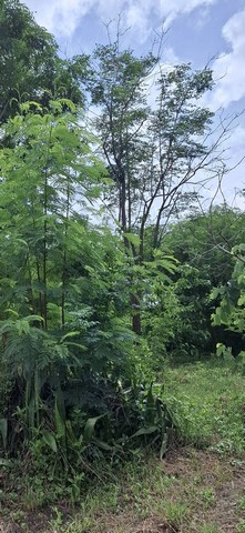 ��·������� 190 ���.  ���ö俿�� MRT �����Ǵ� 13  �.���ͧ  �.��