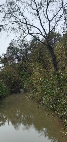 ��º�ҹ 2 ��� �Դ��ͧ �Դ��� 200 ���.���  �.��ҹ⾸�� �.���ԧ�