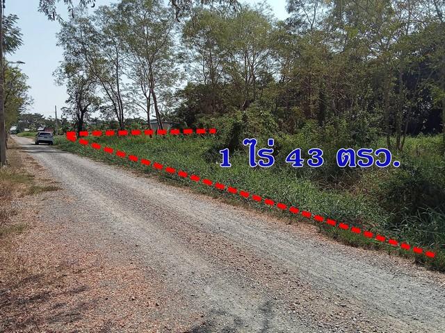 ��·��Թ 1 ��� 43 ���. ��ͧ�Ժ�ͧ ˹ͧ�͡ ��������˹ͧ�͡ �Ե��