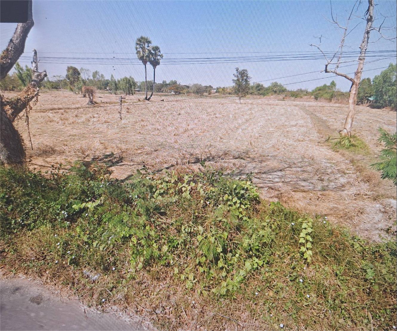 ���Թ���� 3  ��� �Դ��������Ţ2050 (��ҹ���ж�-��ҹ����) 