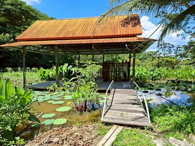 บ้านพร้อมที่ดินผืนใหญ่ วิวดอย บรรยากาศดีมาก แม่แตง บ้านพร้อมที่ดินผืนใหญ่ วิวดอย บรรยากาศดีมาก แม่แตง