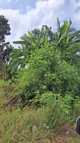 ขายที่ดินถมแล้ว 6 ไร่เศษ ใกล้อ่างเก็บน้ำรัชโลทร อ.บ่อทอง จ.ชลบุร ขายที่ดินถมแล้ว 6 ไร่เศษ ใกล้อ่างเก็บน้ำรัชโลทร อ.บ่อทอง จ.ชลบุร