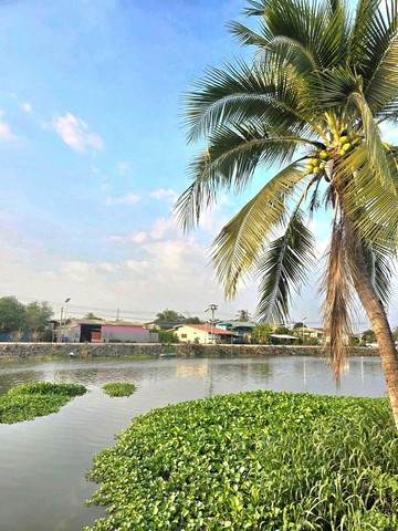 ให้เช่าบ้านเดี่ยวชั้นเดียว รีโนเวทใหม่ อยู่ตำบลบางปลา ให้เช่าบ้านเดี่ยวชั้นเดียว รีโนเวทใหม่ อยู่ตำบลบางปลา