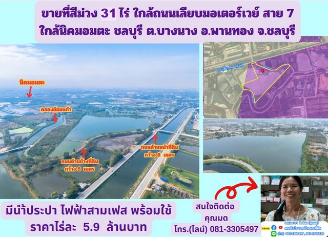 ขายที่สีม่วง 31 ไร่ ต.บางนาง อ.พานทอง จ.ชลบุรี ขายที่สีม่วง 31 ไร่ ต.บางนาง อ.พานทอง จ.ชลบุรี