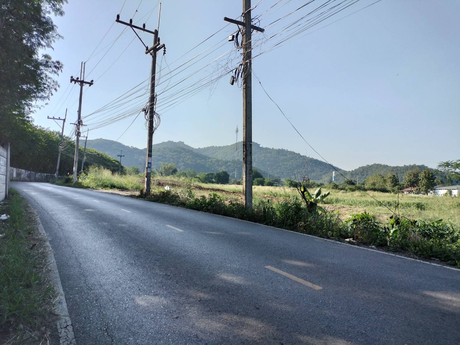 Land for Sell ‼️   ��� ���.�ҧ������˭� (˹ͧ�������)  