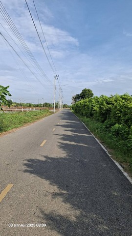 ขายที่ถมแล้วบางส่วน 2 ไร่ ติดถนนสองด้าน อ.บ้านโพธิ์ จ.ฉะเชิงเทร ขายที่ถมแล้วบางส่วน 2 ไร่ ติดถนนสองด้าน อ.บ้านโพธิ์ จ.ฉะเชิงเทร