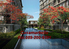 คอนโดใหม่ขายถูกย่านรังสิต D Condo Campus Resortรังสิต ธรรมศาสตร์ คอนโดใหม่ขายถูกย่านรังสิต D Condo Campus Resortรังสิต ธรรมศาสตร์
