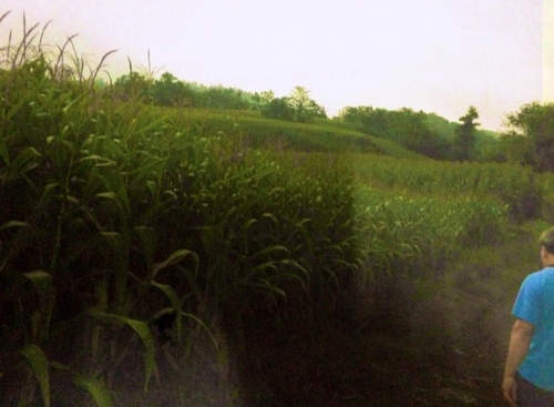 *à¨éҢͧ¢ÒÂàͧ¨éÒ* ¢Ò·Õè´Ô¹ ¨.ྪúÙóì 100 äÃè ÃÒ¤ÒäÁèá¾§¨éÒ *à¨éҢͧ¢ÒÂàͧ¨éÒ* ¢Ò·Õè´Ô¹ ¨.ྪúÙóì 100 äÃè ÃÒ¤ÒäÁèá¾§¨éÒ