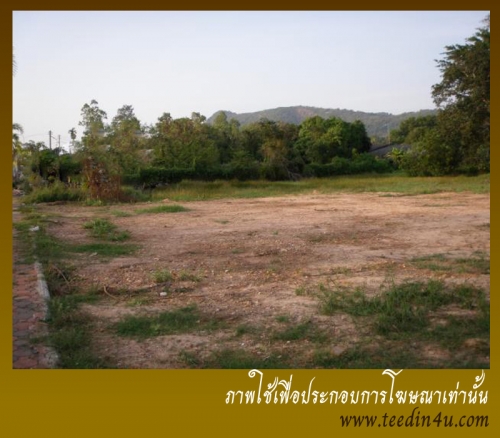 ขายที่ดิน 99 ไร่ ย่านบางนา บางนา-ตราด กม.29 ขายที่ดิน 99 ไร่ ย่านบางนา บางนา-ตราด กม.29