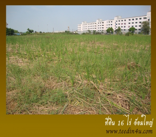 ขายที่ดินเปล่า ตรงข้ามบิ๊กซีอ้อมใหญ่ สามพราน นครปฐม เขตพื้นที่สีม่วง ขายที่ดินเปล่า ตรงข้ามบิ๊กซีอ้อมใหญ่ สามพราน นครปฐม เขตพื้นที่สีม่วง