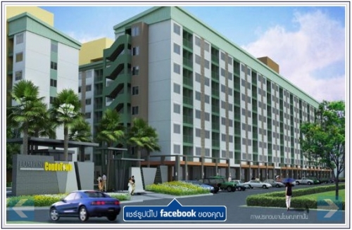 ��¤͹��������ͧ�ç�������Թ� (LPN) ���ź��� �Ҥҷع