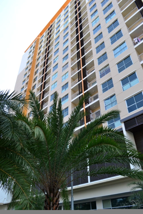 ��¤͹� S&S �آ���Է101/1 ���5 ��Ҵ29.25��.�. ��ͧẺʵٴ��� ���Ŵ� ���ö俿�� BTS �س��Զ�