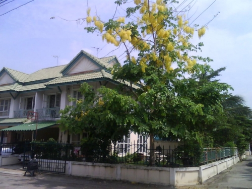 ให้เช่าบ้านแฝดหลังมุมถนนหมู่บ้านพฤกษา13 โซนด้านหน้า บ้าน 2 ชั้น 3 ห้องนอน (ห้องนอนใหญ่ติดแอร์) 2 ห้องน้ำ ราคา 5,500 บาทต่อเดือน ให้เช่าบ้านแฝดหลังมุมถนนหมู่บ้านพฤกษา13 โซนด้านหน้า บ้าน 2 ชั้น 3 ห้องนอน (ห้องนอนใหญ่ติดแอร์) 2 ห้องน้ำ ราคา 5,500 บาทต่อเดือน